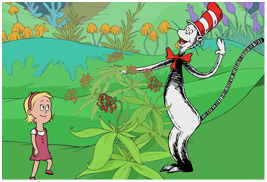 Cat and Sally by Flower