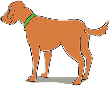 Skits standing and looking up