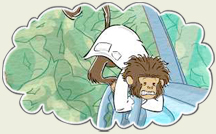 a monkey driving a car