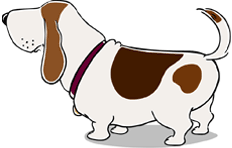 a dog watching the video